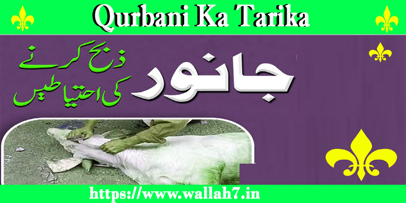 Qurbani Ka Tarika